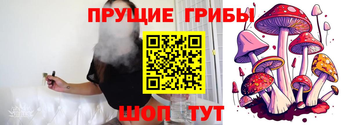 Донецк  Галлюциногенные грибы GOLDEN TEACHER  Вход с VPN  Галлюциногенные грибы MAGIC MUSHROOMS 